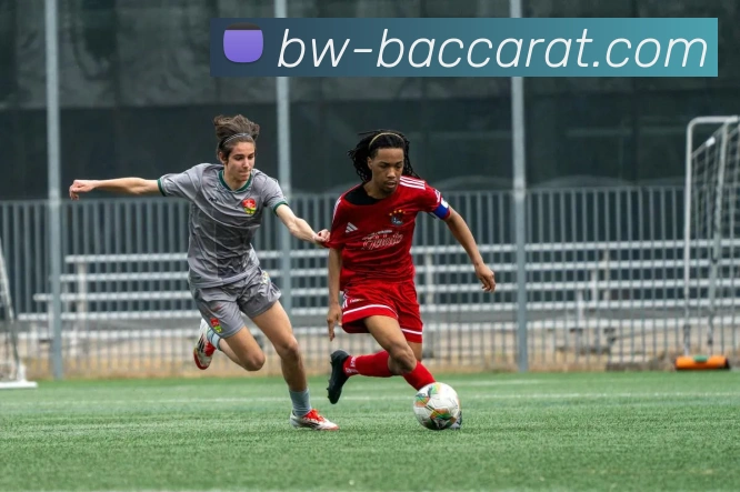 百家乐官网服务体系