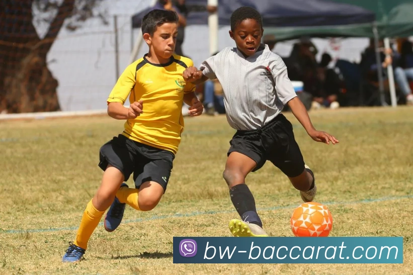 App Interface Preview